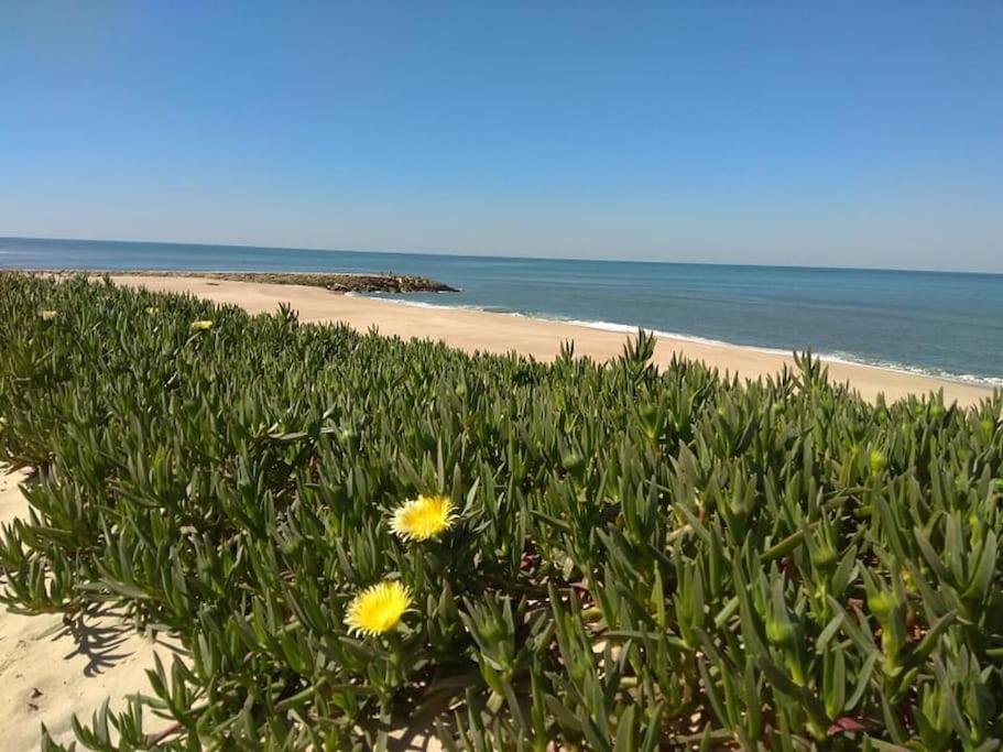Casa De Praia Acolhedora/ Cosy Beach House Marinha das Ondas Kültér fotó